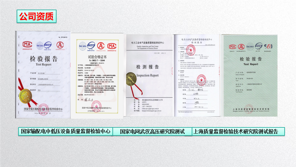 权威部门检测报告
